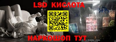 PSILOCYBIN Кунгур