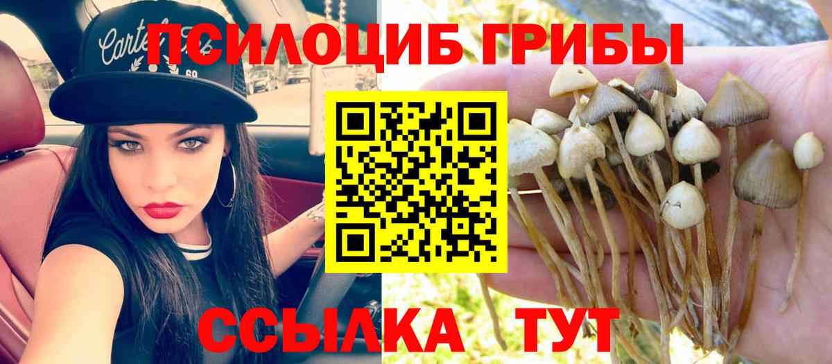 Псилоцибиновые грибы GOLDEN TEACHER Звенигород